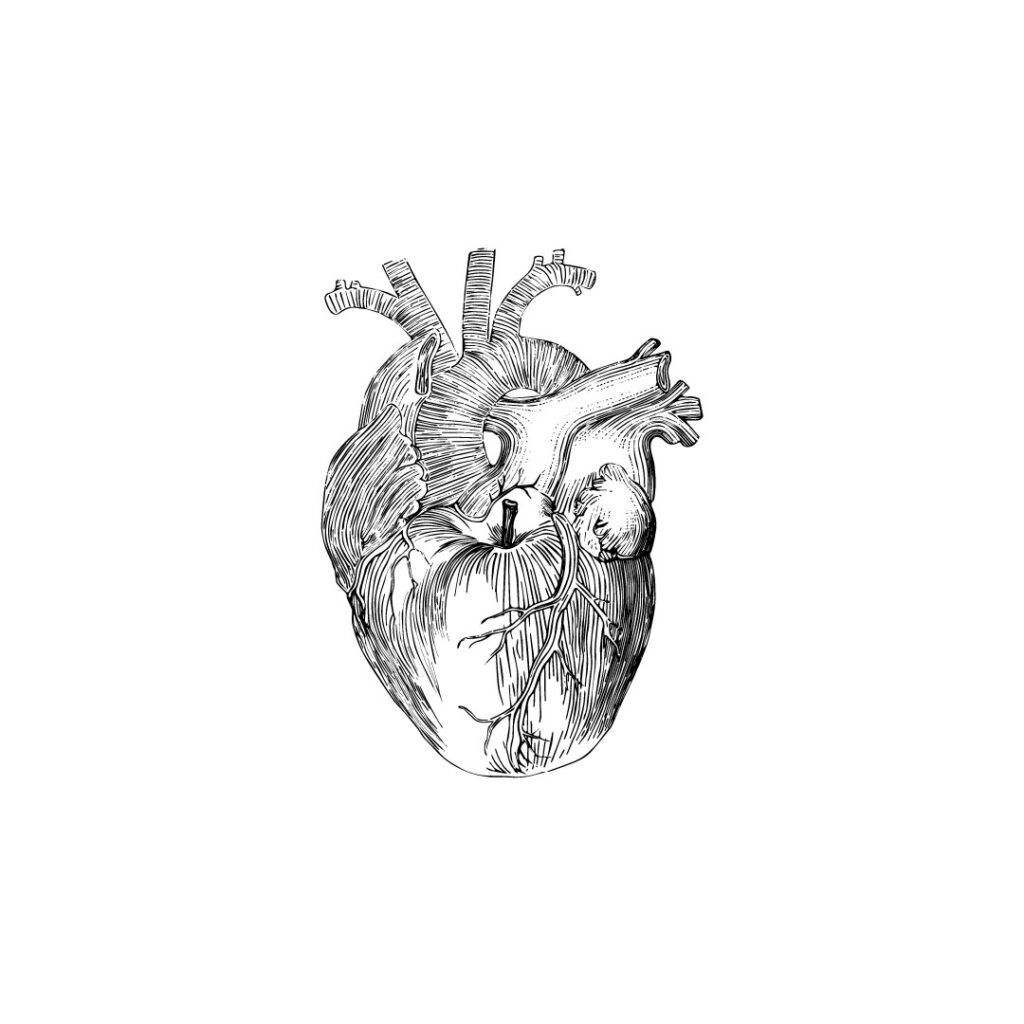 Proyecto ilustración Lo llevamos dentro
