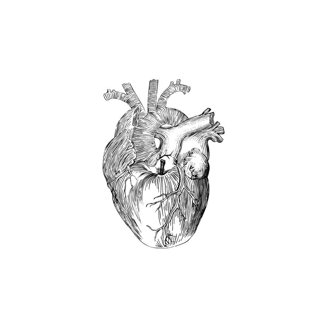 Proyecto ilustración Lo llevamos dentro