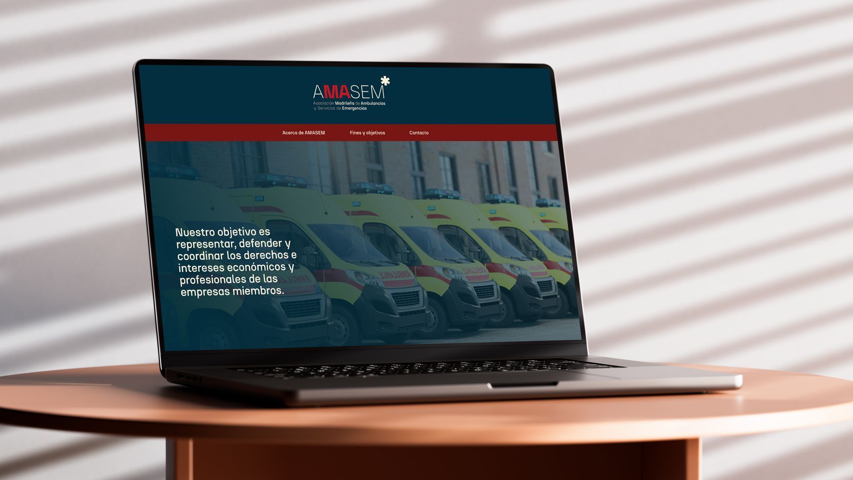 AMASEM web