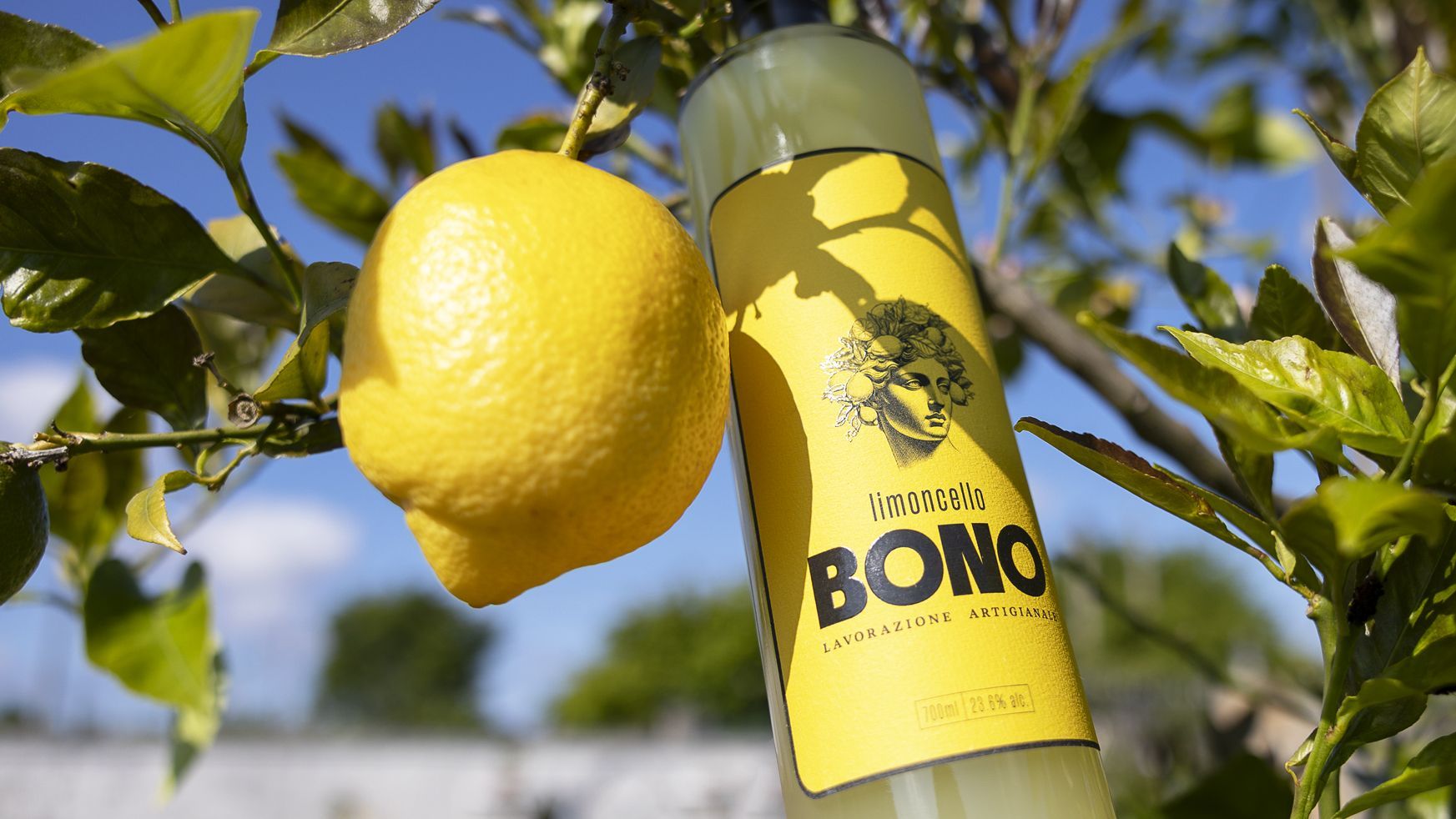 Limoncello Bono